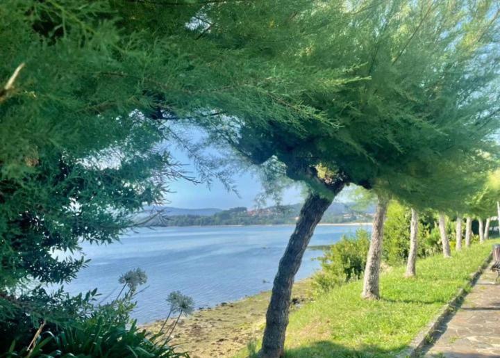 Ferienwohnung Atico Con Vistas A La Ria De Arosa Rianjo Exterior foto